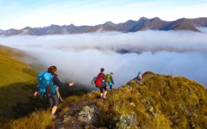 New Zealand Hiking Paths