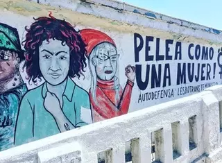 A Feminist in Chile