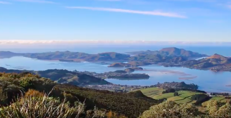 Kaitiakitanga: Volunteering in New Zealand – A Digital Story