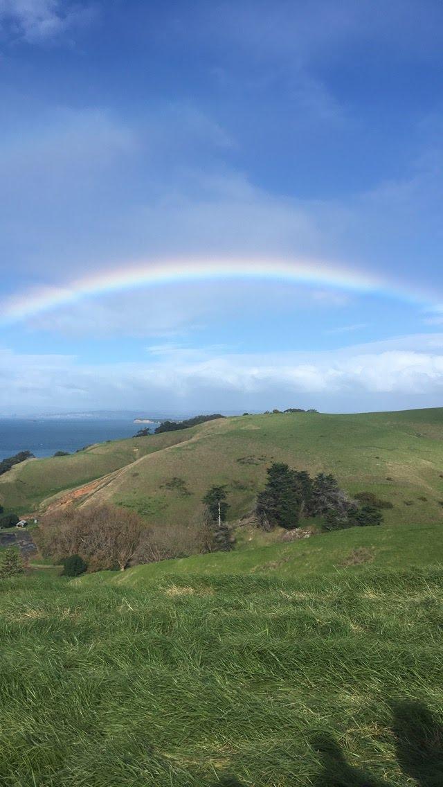 How New Zealand Changed My Future Career IFSA