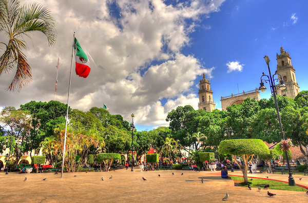 Jumping Straight into the Deep End: Taking Classes Outside My Major and in My Second Language