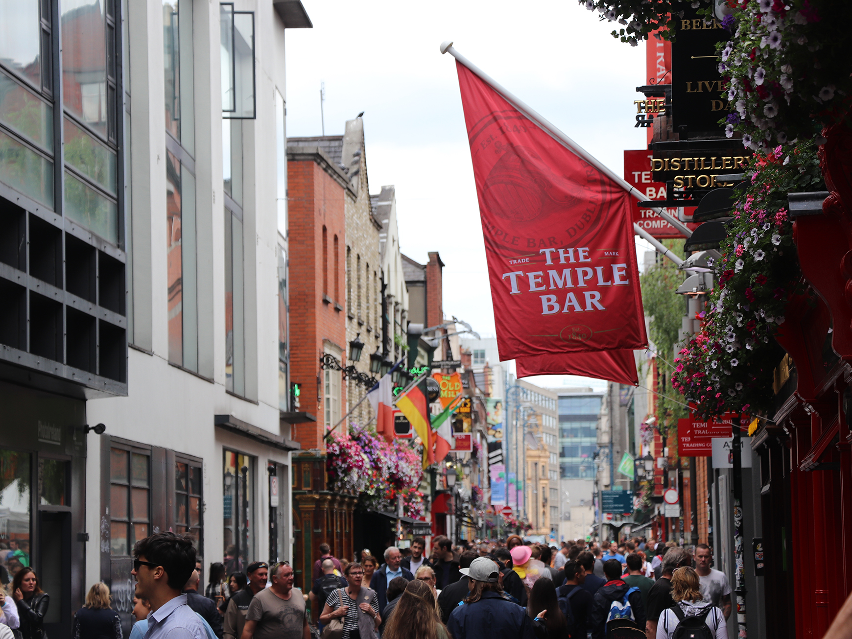 Embrace Tourism in Dublin