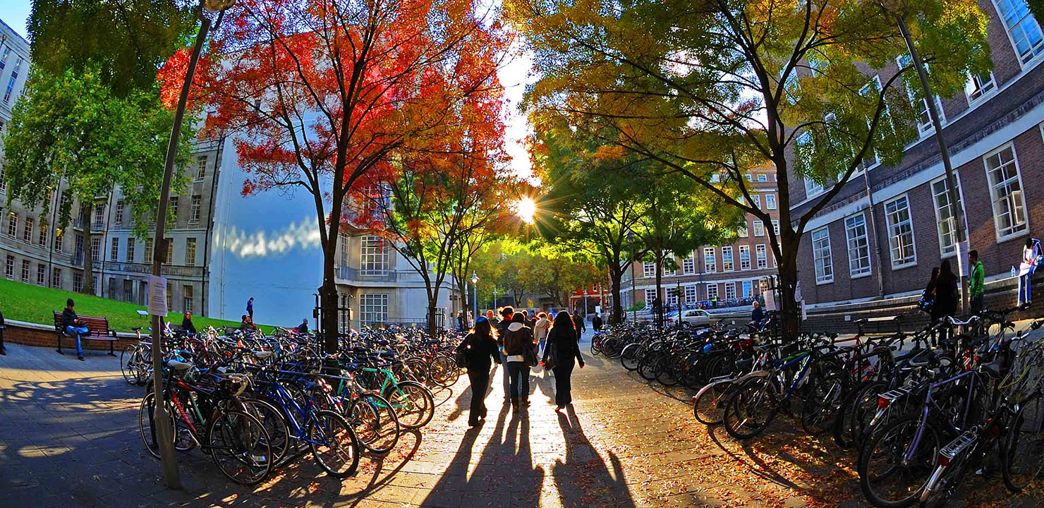 Students walking by a bike rack outside SOAS on a bright autumn day.