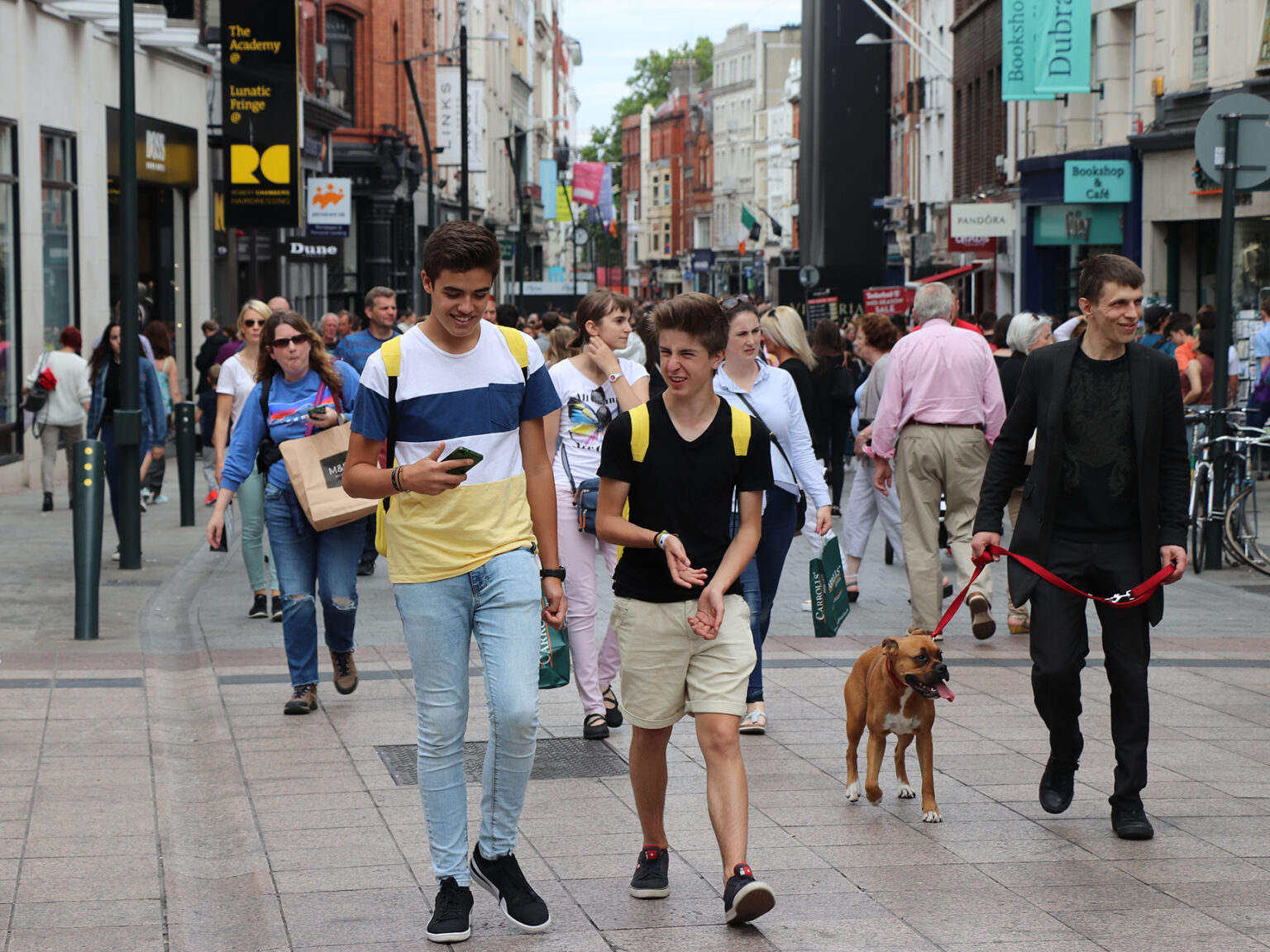 University College Dublin Summer Internships IFSA
