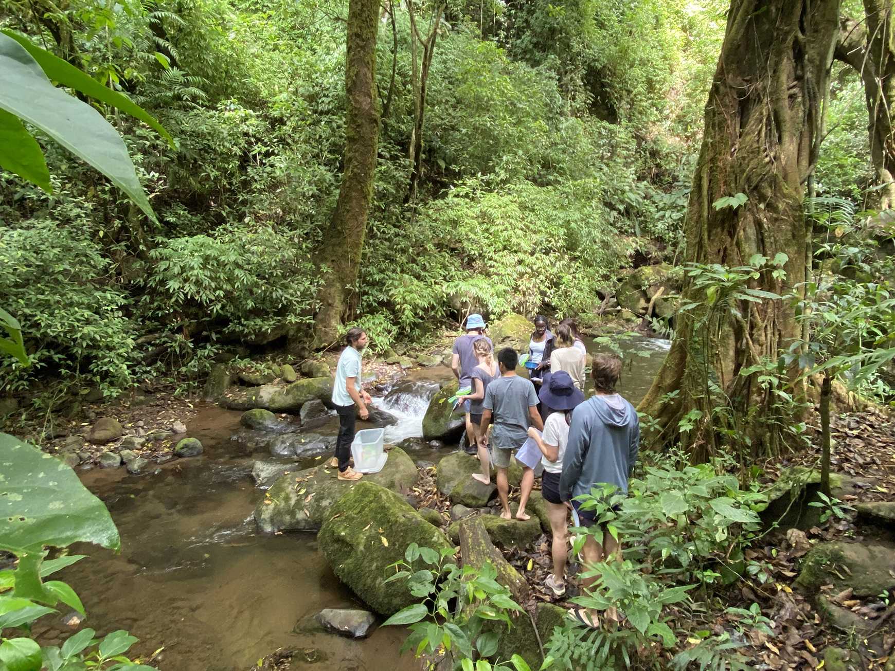 Study abroad in Costa Rica with IFSA