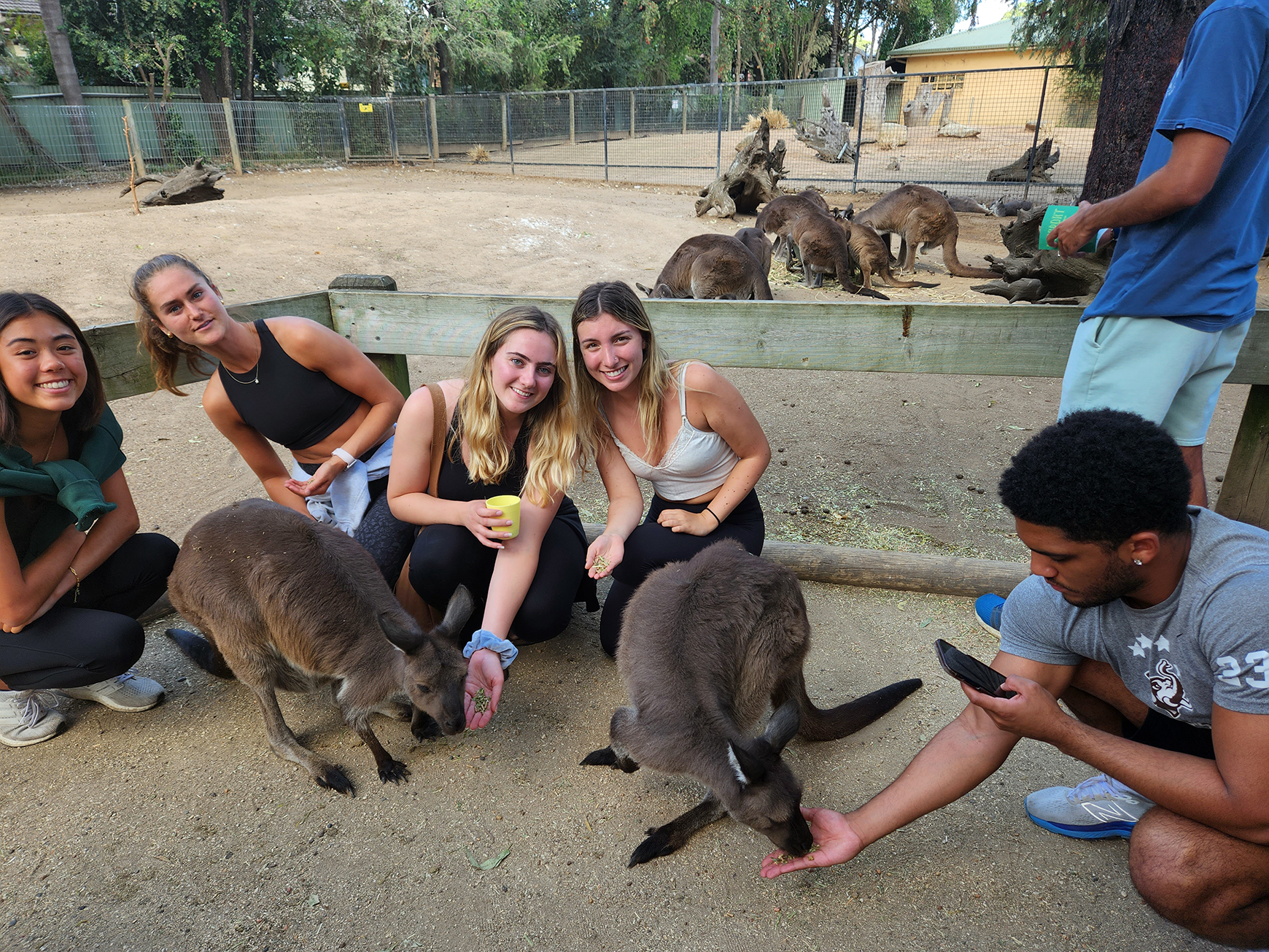 Study abroad in Australia with IFSA