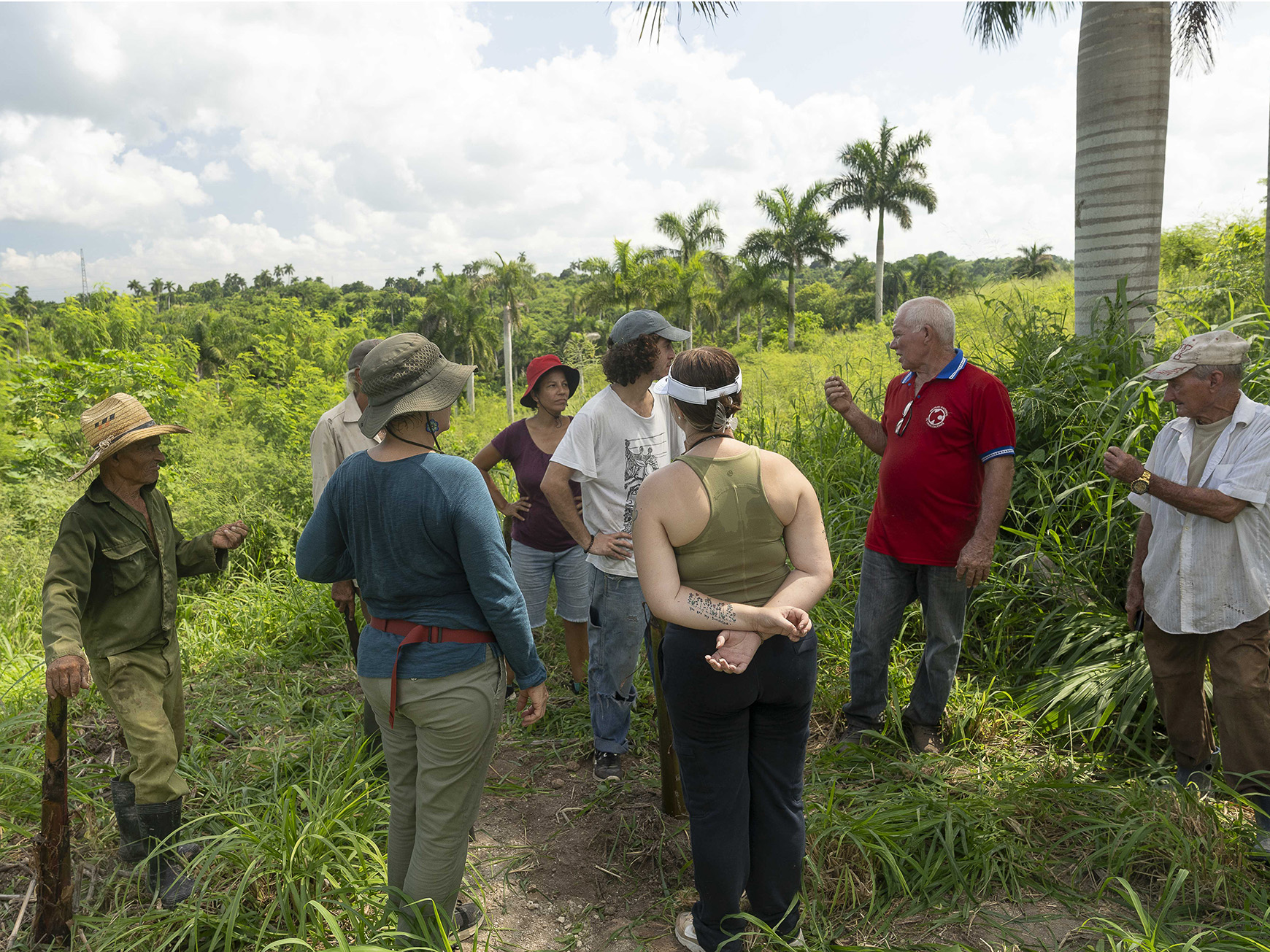 Study abroad in Cuba with IFSA