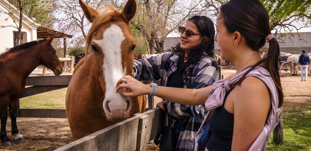 Study abroad in Argentina with IFSA