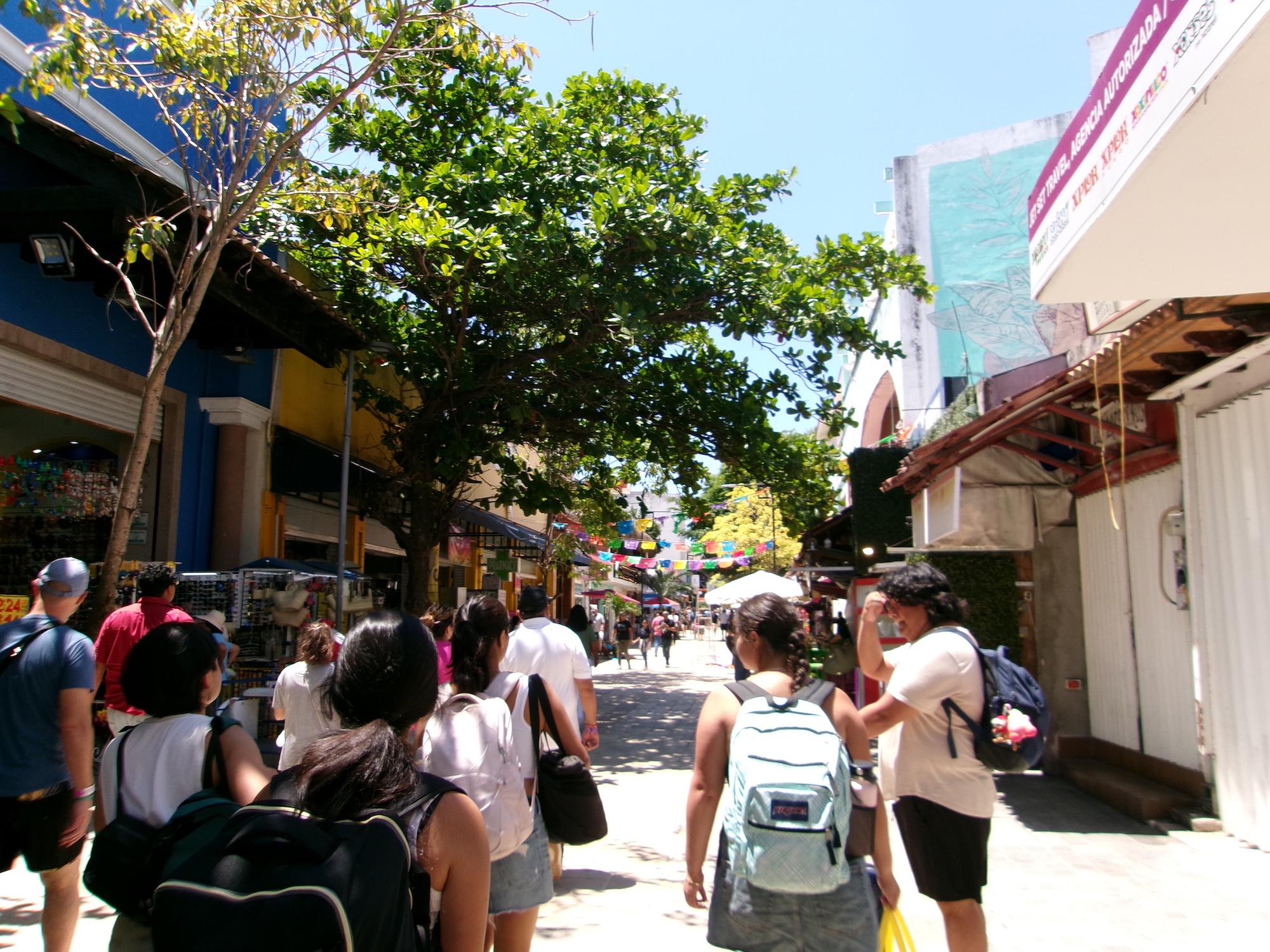 My Study Abroad Journey in Mexico Doesn’t End Here