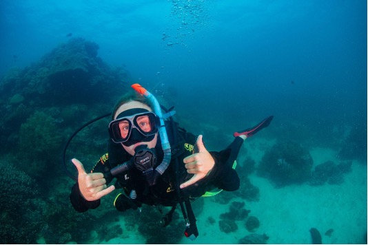 How Studying Abroad in Australia Gave Me a New Appreciation for Sharks