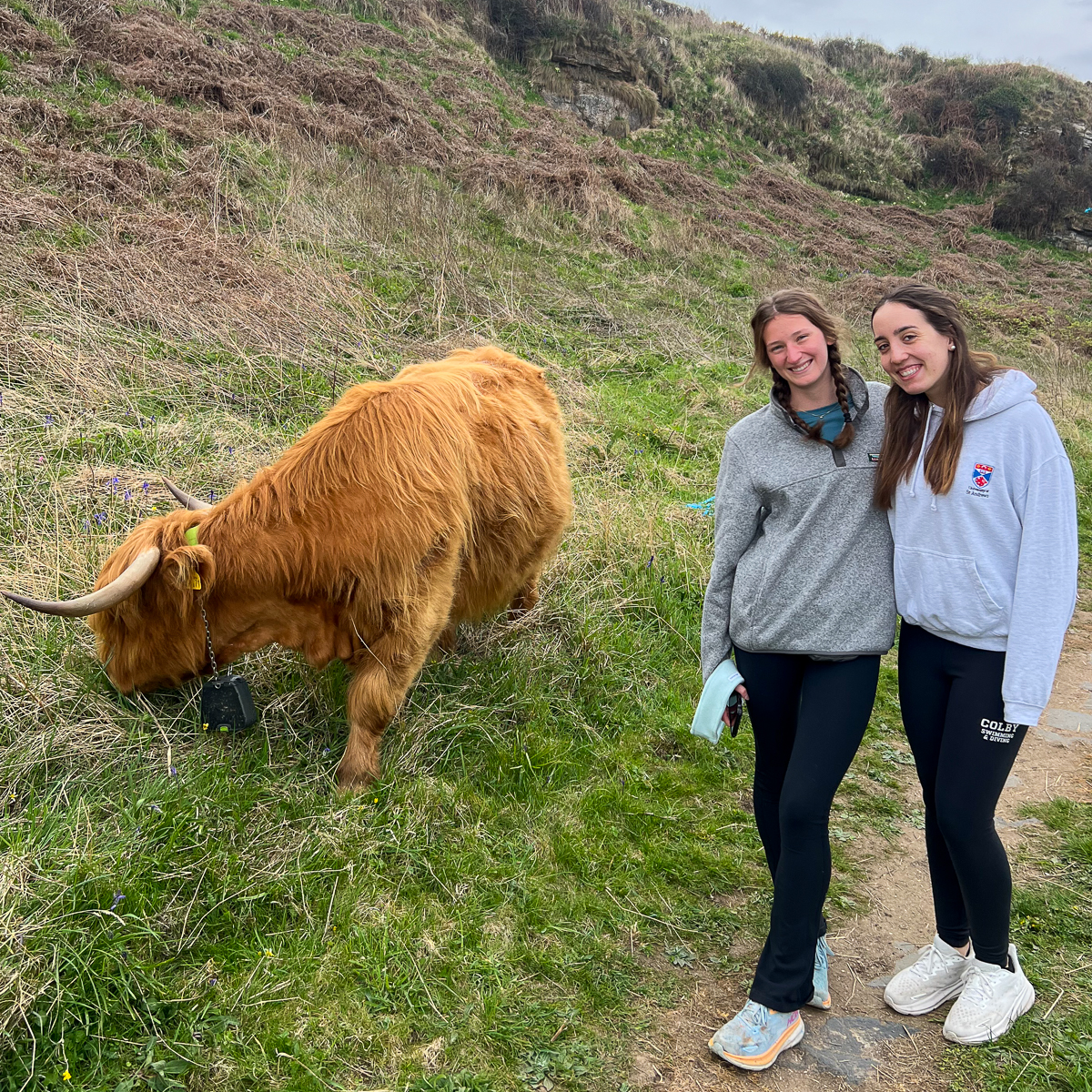 16 Months Later: Reflections on Study Abroad